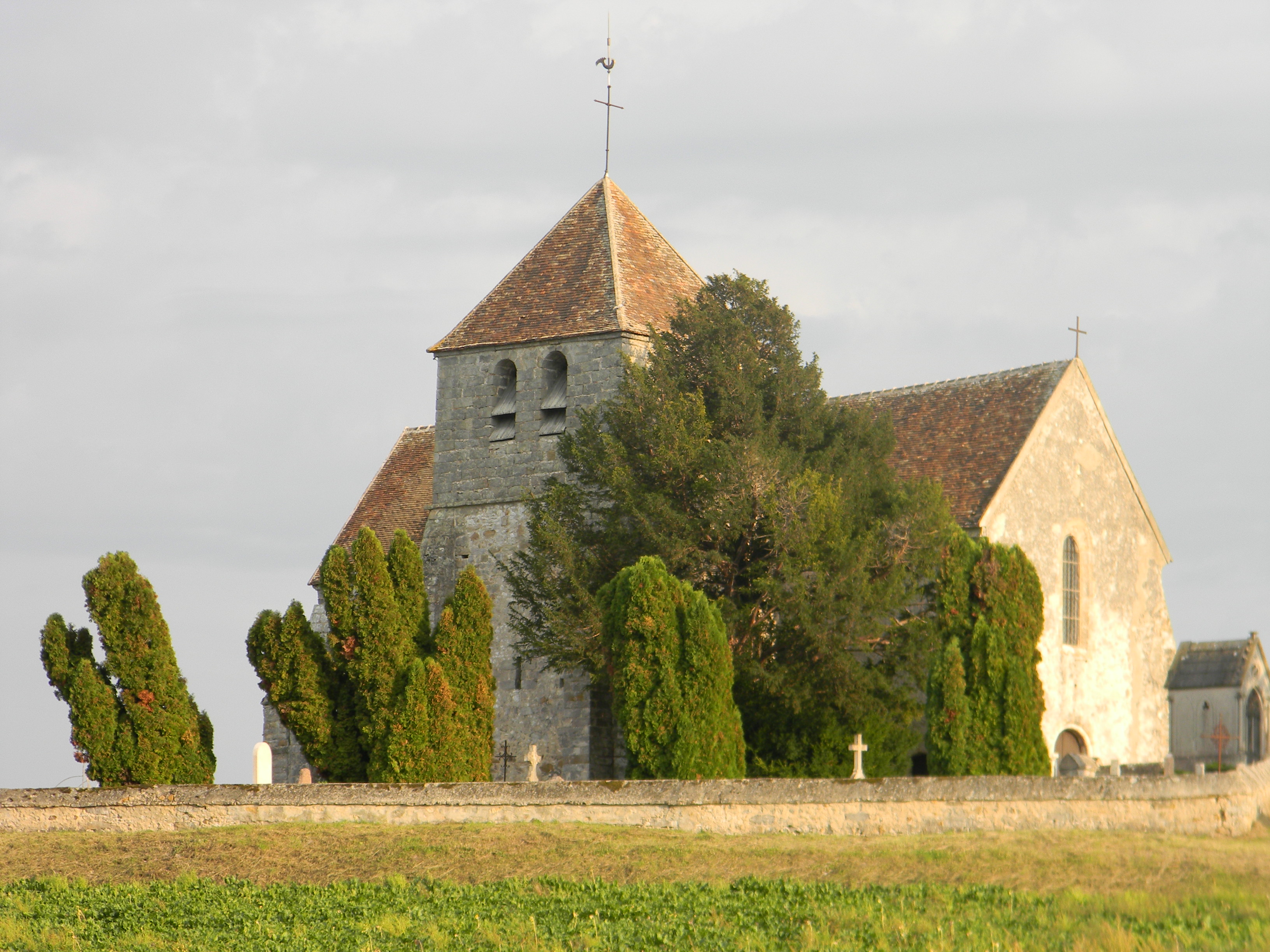 Église Saint-Martin de La Genevraye